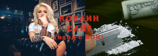 прущие грибы Волосово