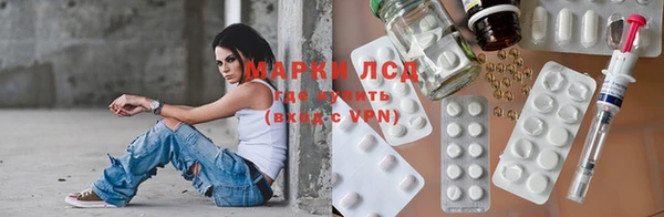 прущие грибы Волосово