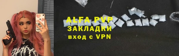прущие грибы Волосово