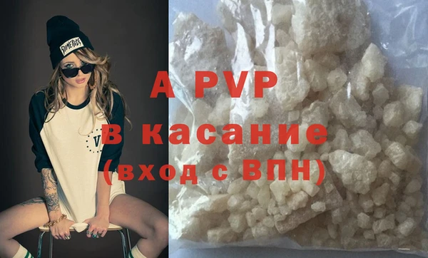 прущие грибы Волосово